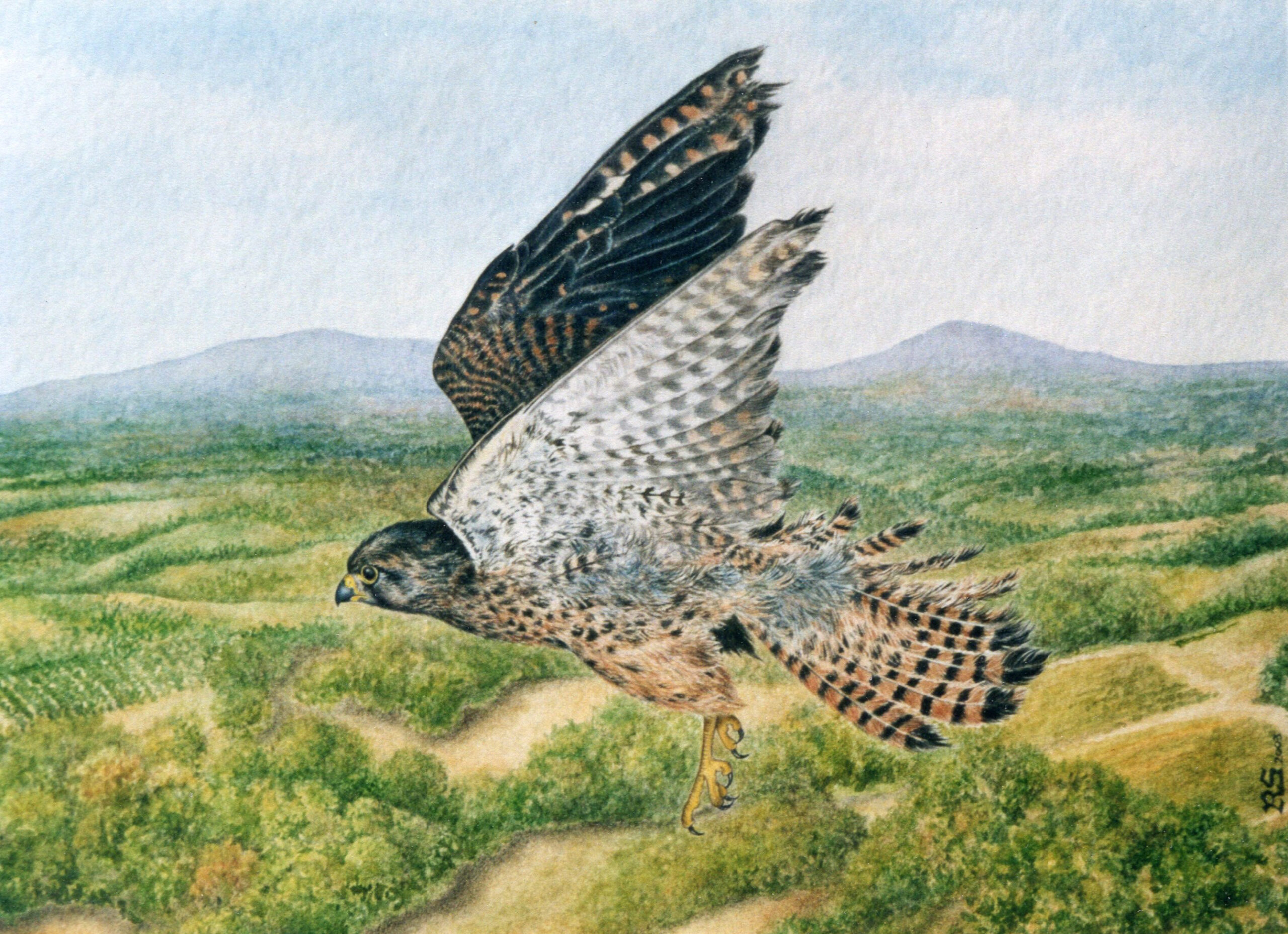 GHEPPIO